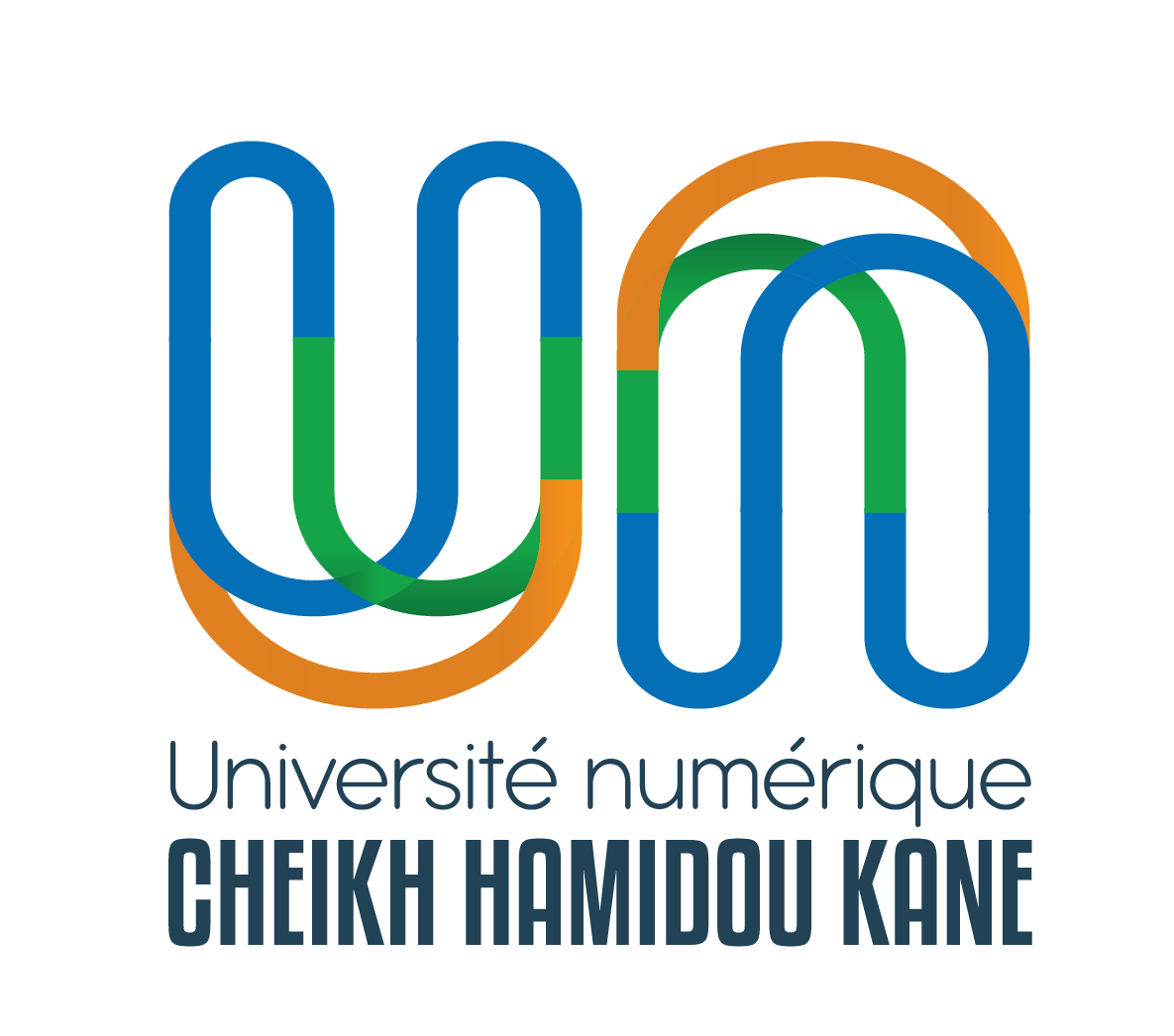 Université Numérique Cheikh Hamidou KANE